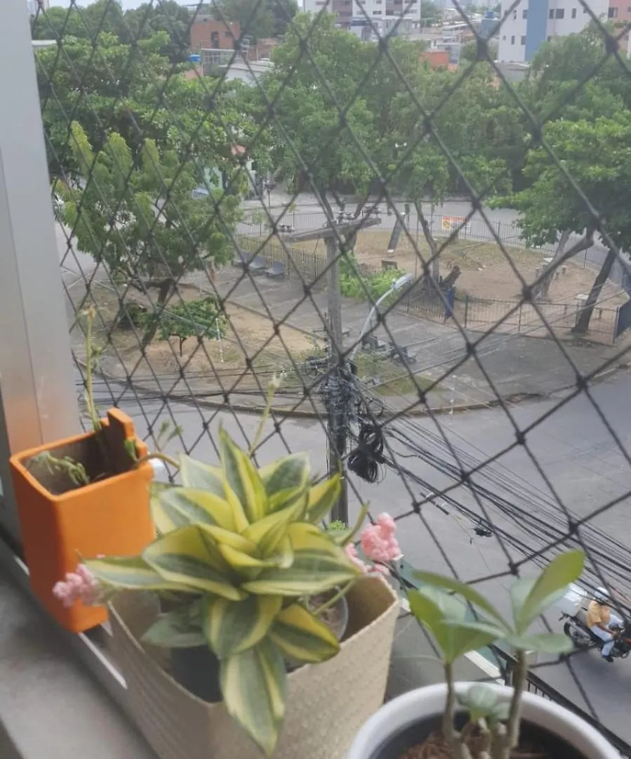 Homestay Suite E Quartos -1 Suite Com Banheiro Privativo - 2 Quartos Triplos - Banheiro Social Recife